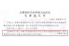 辽宁为什么选择专业追讨公司来处理您的债务纠纷？